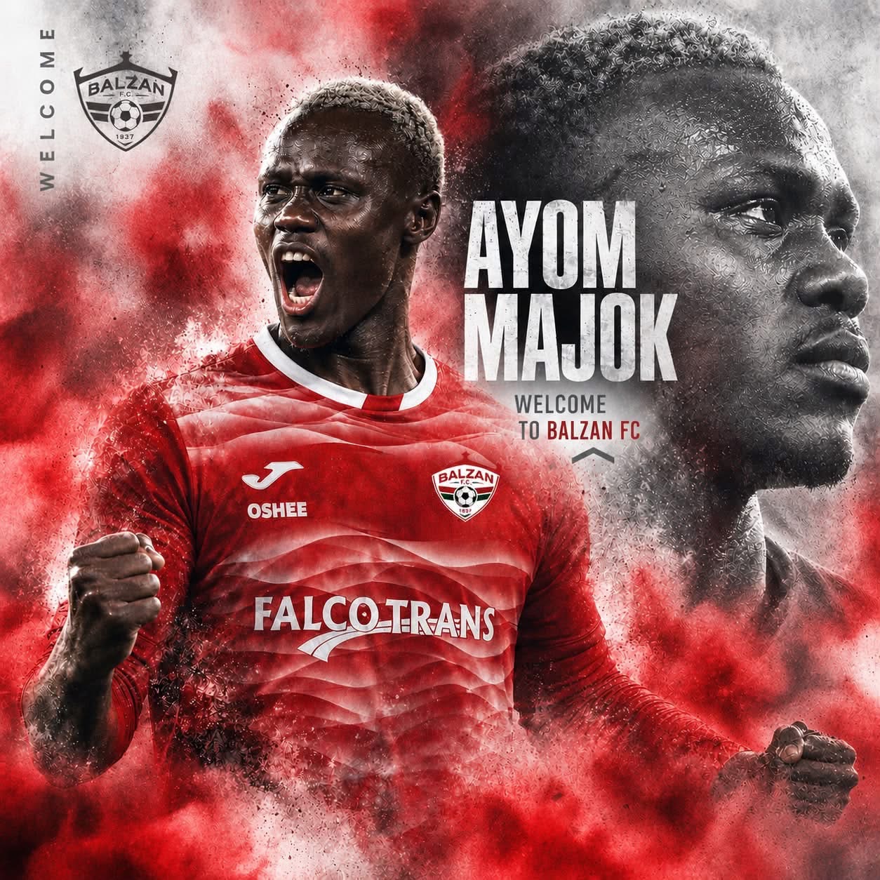 Ayom Majko
